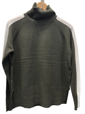 Stripe Sleeve Turtleneck Sweater